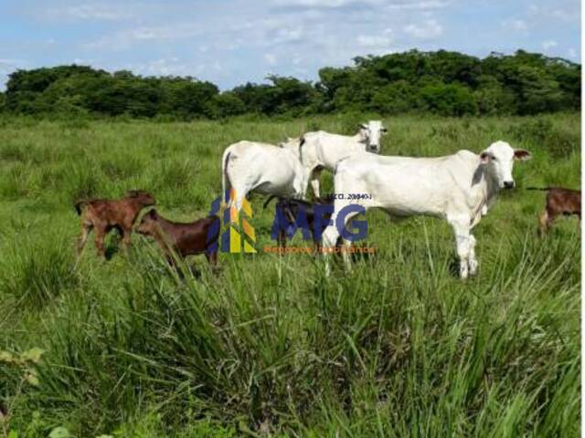 Fazenda para Venda em Bonfinópolis de Minas - 4