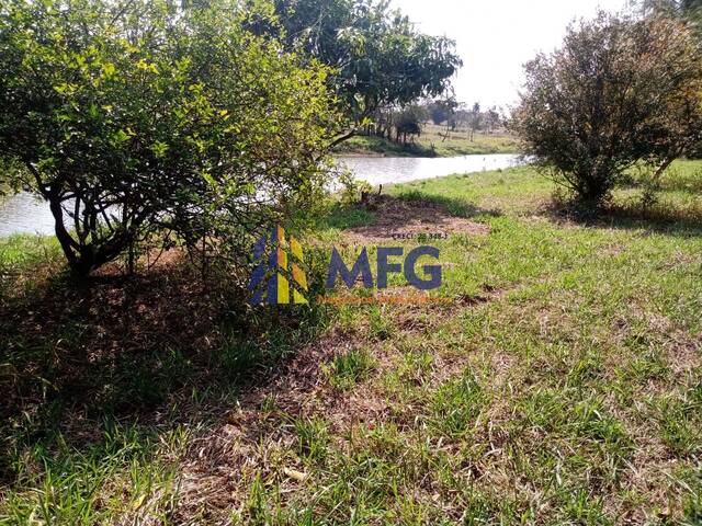 #13230 - Chácara para Venda em Quadra - SP - 3