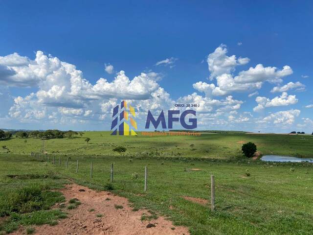 #13437 - Fazenda para Venda em Lins - SP - 3