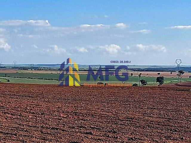 #13442 - Fazenda para Venda em Echaporã - SP - 3