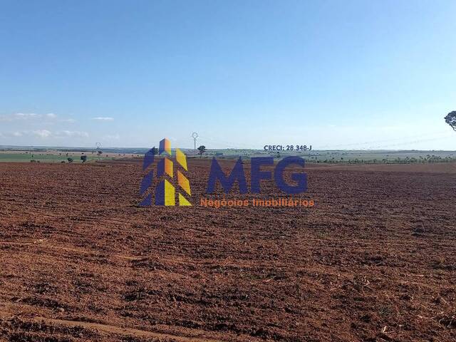 Fazenda para Venda em Echaporã - 4