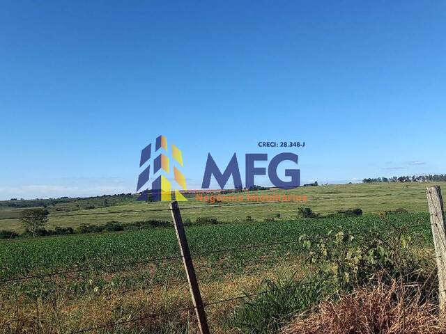 Fazenda para Venda em Echaporã - 5