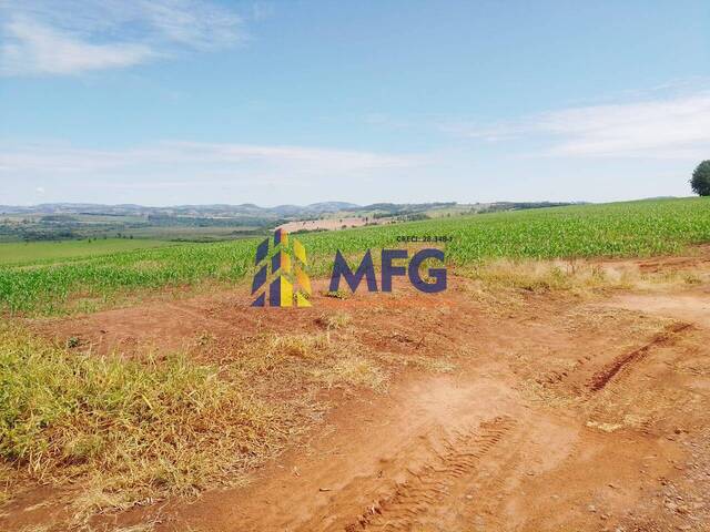 Fazenda para Venda em Itaporanga - 3