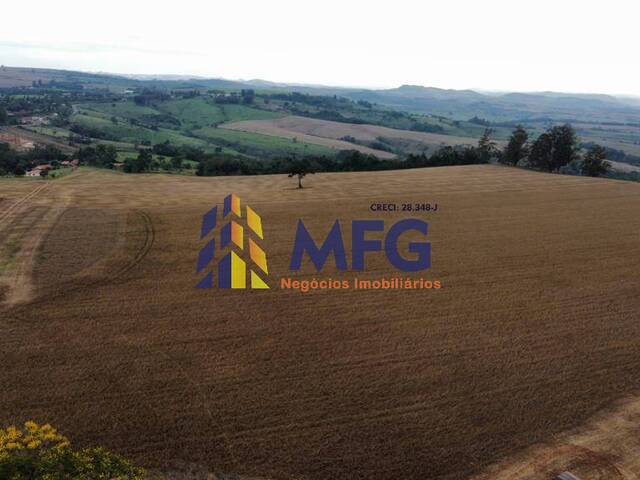 #13486 - Fazenda para Venda em Siqueira Campos - PR - 2