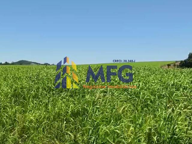 #13487 - Fazenda para Venda em Siqueira Campos - PR - 2