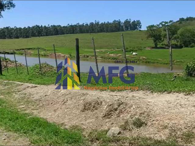 Fazenda para Venda em Siqueira Campos - 4