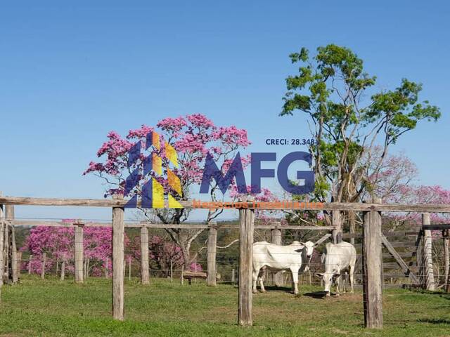 Fazenda para Venda em Ibaiti - 2