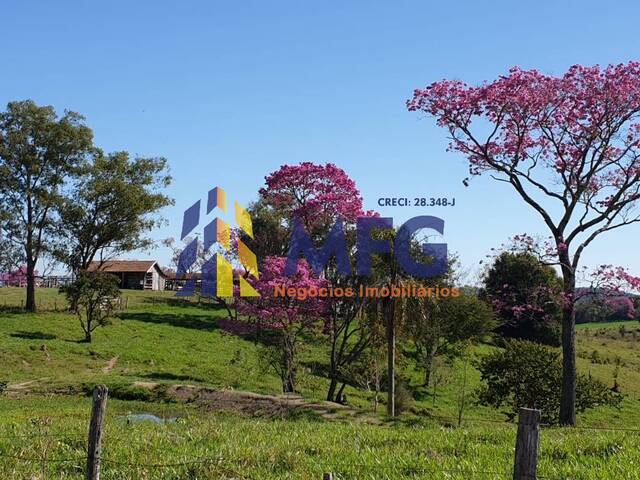 Fazenda para Venda em Ibaiti - 3