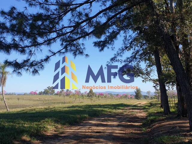 Fazenda para Venda em Ibaiti - 4