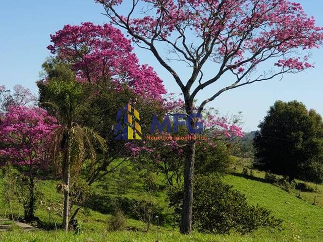 Fazenda para Venda em Ibaiti - 5