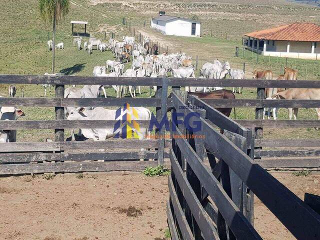 #13555 - Fazenda para Venda em Riversul - SP - 2