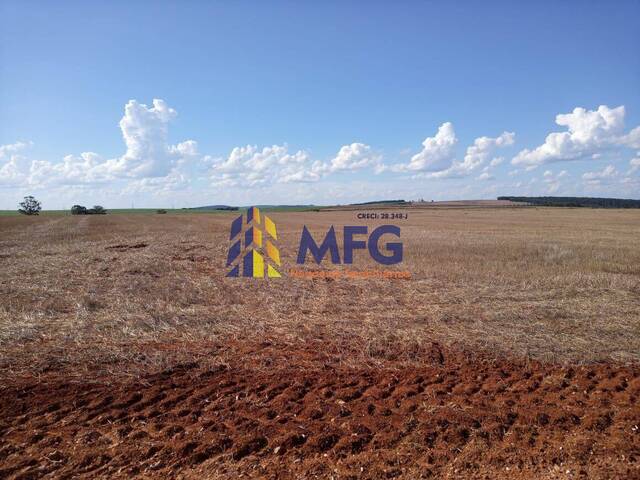 #13500 - Fazenda para Venda em Itapeva - SP - 3