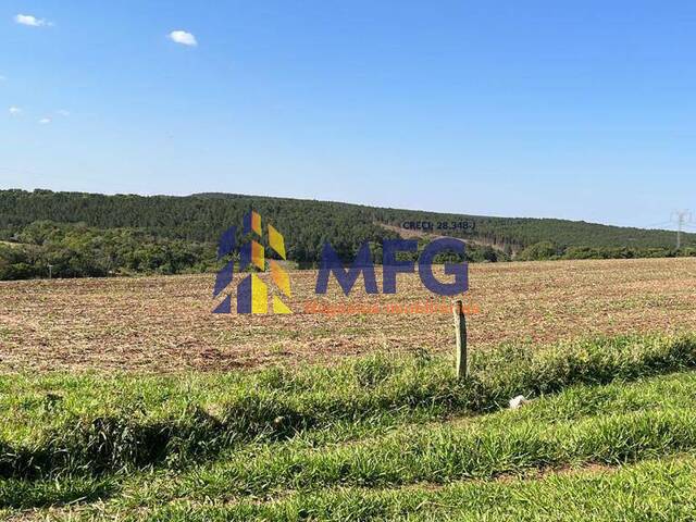 #11342 - Fazenda para Venda em Itapeva - SP - 3