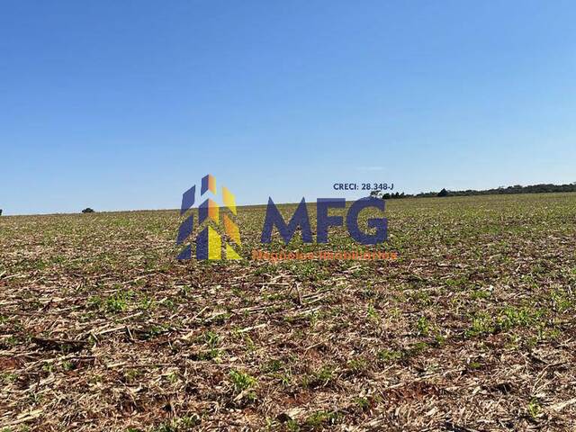 Fazenda para Venda em Itapeva - 5