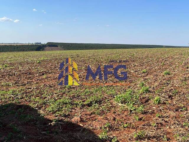 Fazenda para Venda em Itapeva - 4