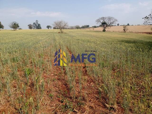 #13678 - Sítio para Venda em Quadra - SP - 2