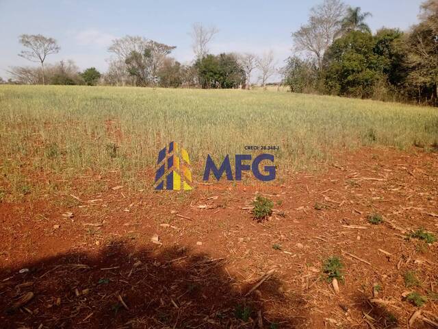 Sítio para Venda em Quadra - 4