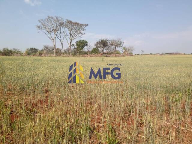 Sítio para Venda em Quadra - 5