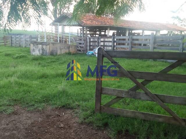 Fazenda para Venda em Sengés - 5