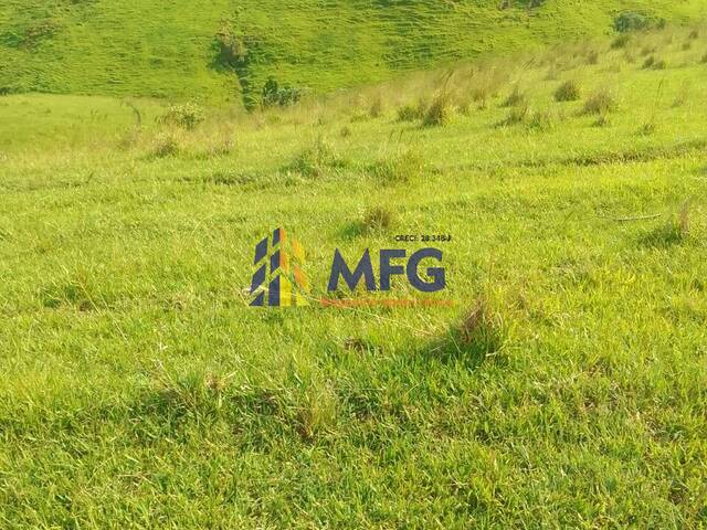 #13807 - Fazenda para Venda em Sengés - PR - 2