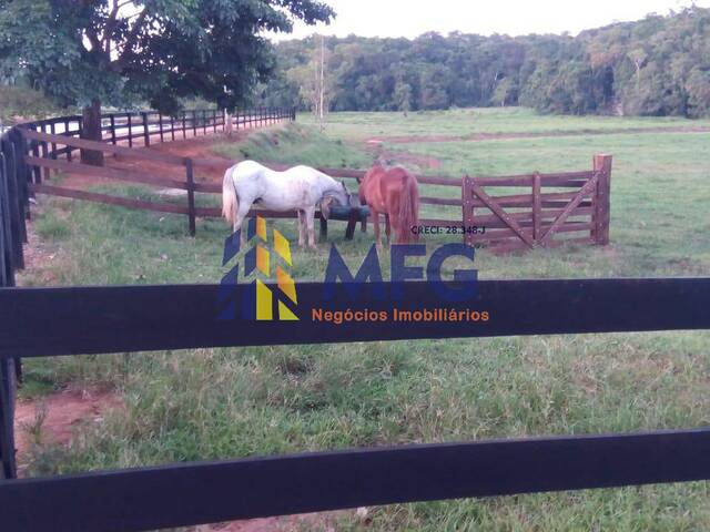 Fazenda para Venda em Registro - 2