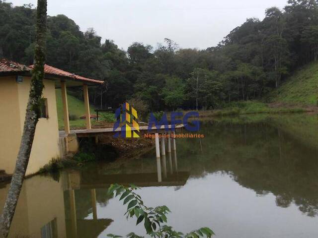 Fazenda para Venda em Registro - 3