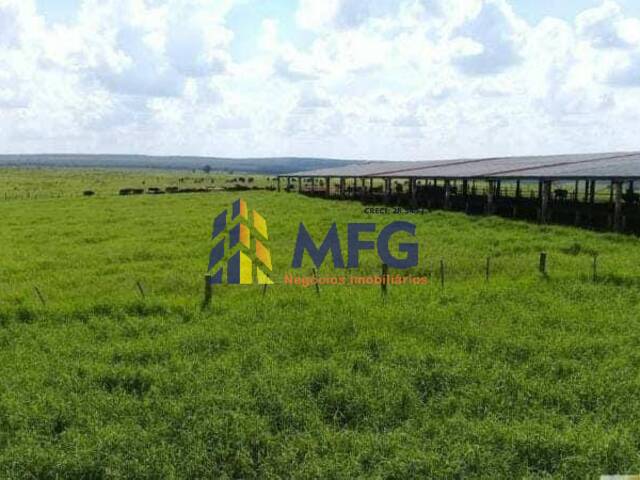 Fazenda para Venda em Agudos - 5