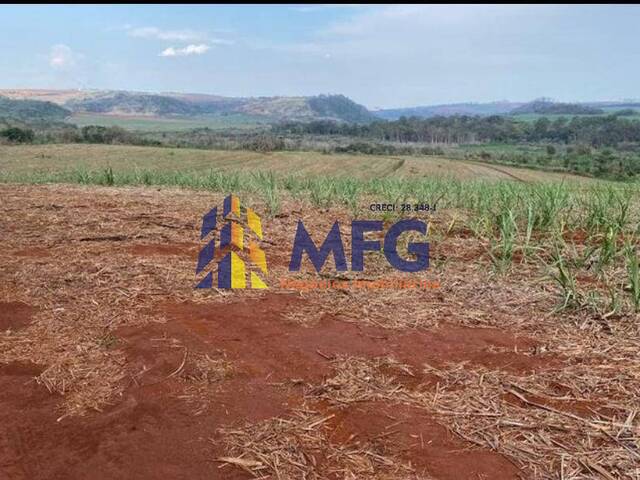 #13949 - Fazenda para Venda em São Carlos - SP - 2