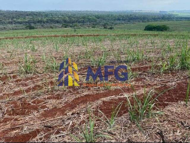 Fazenda para Venda em São Carlos - 4