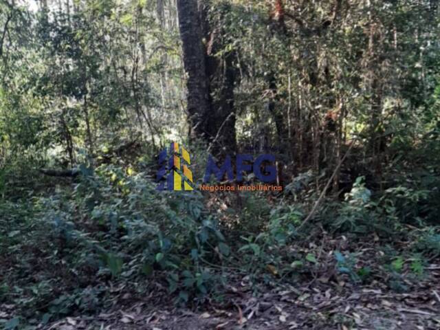 #13995 - Sítio para Venda em Barra do Chapéu - SP - 3
