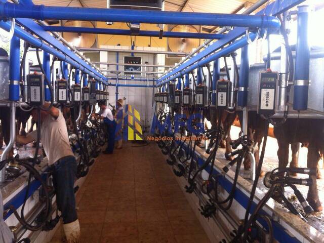 #14123 - Fazenda para Venda em Bom Despacho - MG - 2