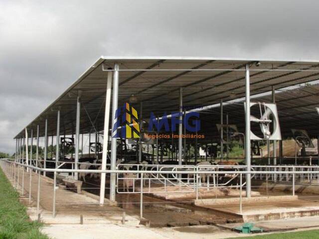 Fazenda para Venda em Bom Despacho - 4