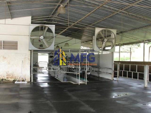 Fazenda para Venda em Bom Despacho - 5