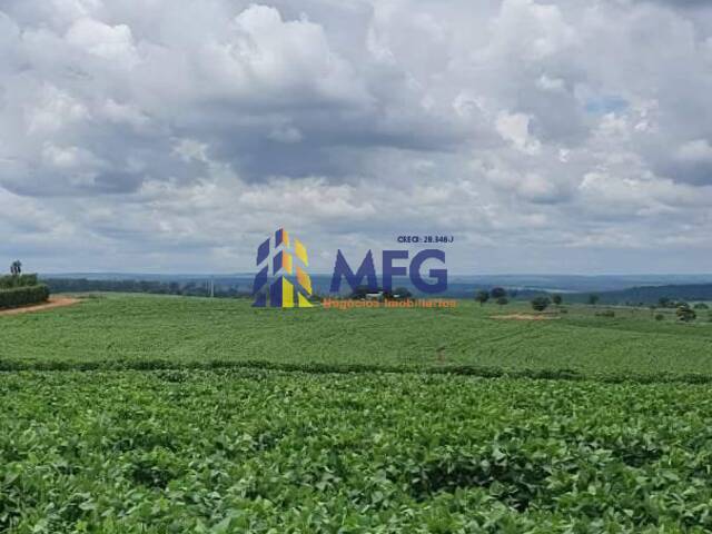 Venda em Área Rural de Paulistânia - Paulistânia