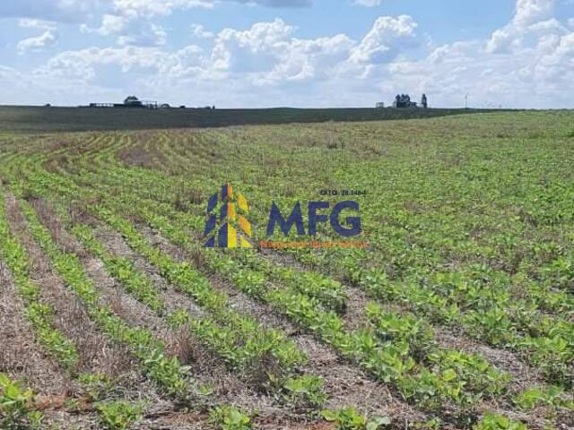 #14181 - Fazenda para Venda em Paulistânia - SP - 2