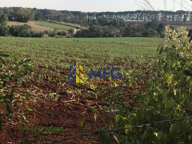 Chácara para Venda em Araçoiaba da Serra - 2
