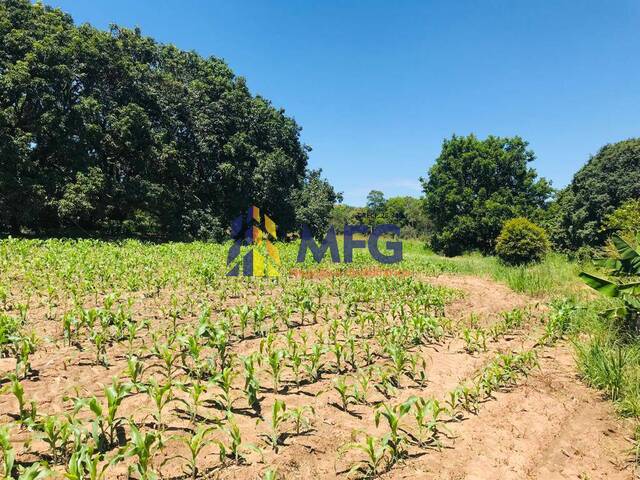 Chácara para Venda em Araçoiaba da Serra - 4