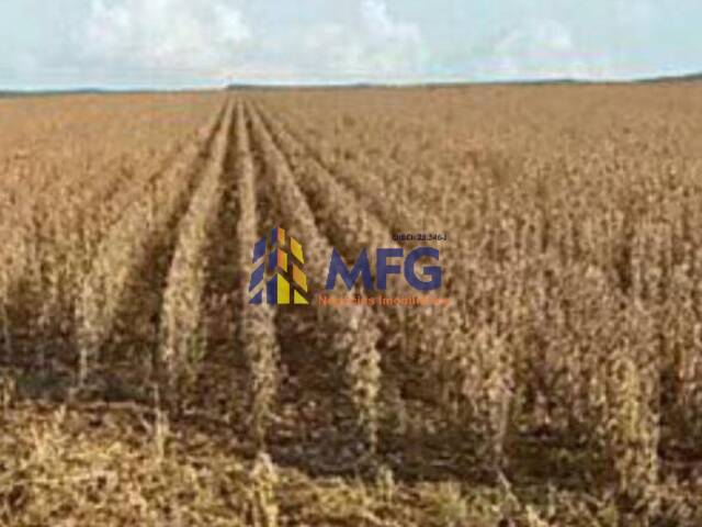Fazenda para Venda em Nova Mutum - 3
