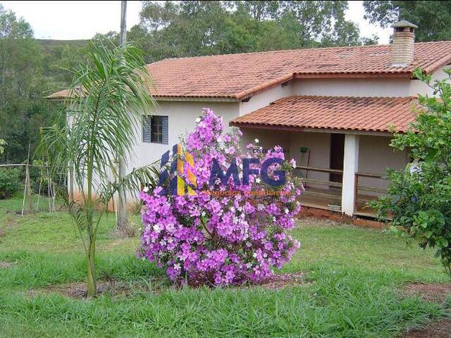 Sítio para Venda em Itaporanga - 4