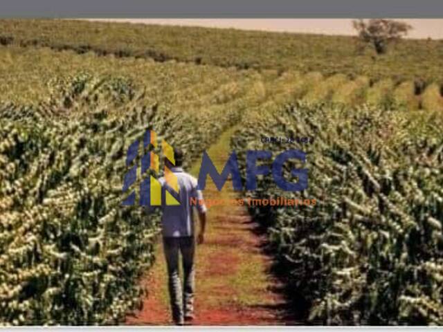 #14531 - Fazenda para Venda em Carmo do Paranaíba - MG - 3
