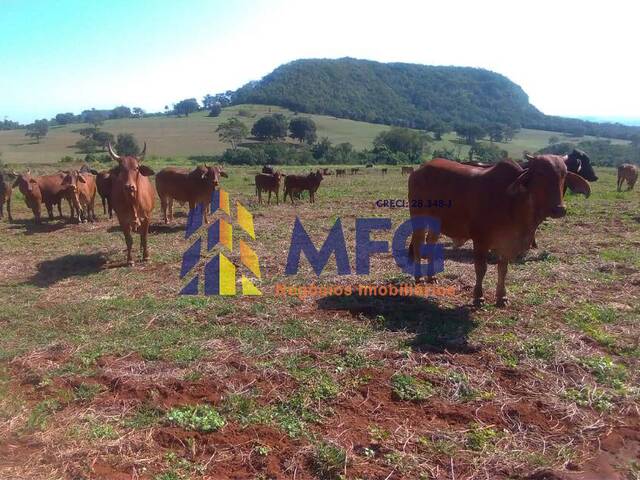 Fazenda para Venda em Pedregulho - 5