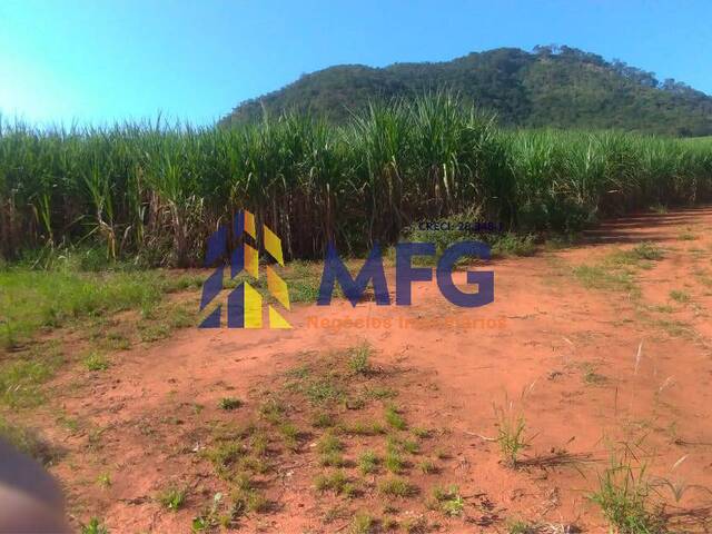 Fazenda para Venda em Pedregulho - 3