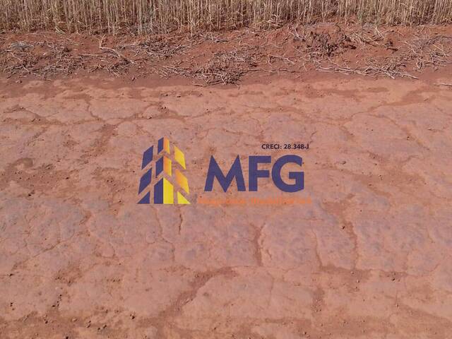 Fazenda para Venda em Sacramento - 2