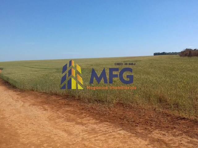 Fazenda para Venda em Sacramento - 4