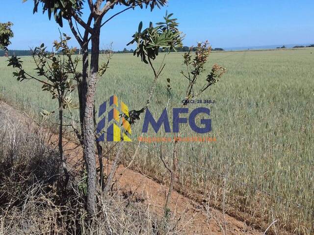 Fazenda para Venda em Sacramento - 5