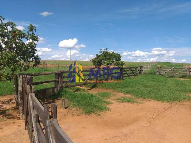 #14603 - Fazenda para Venda em Penápolis - SP - 2