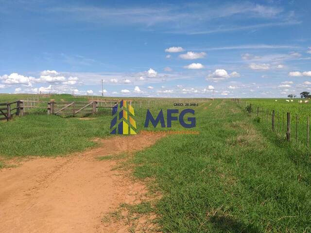 Venda em Área Rural de Penápolis - Penápolis