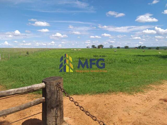 #14603 - Fazenda para Venda em Penápolis - SP - 3