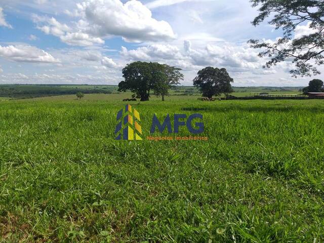 Fazenda para Venda em Penápolis - 4