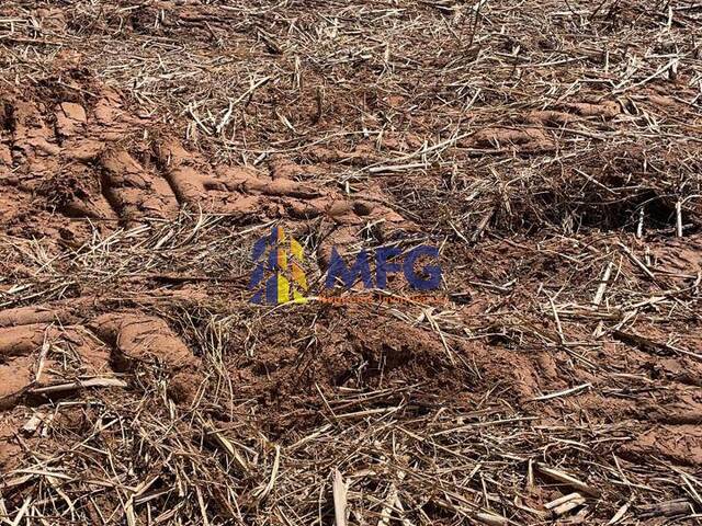 #14605 - Fazenda para Venda em Auriflama - SP - 2